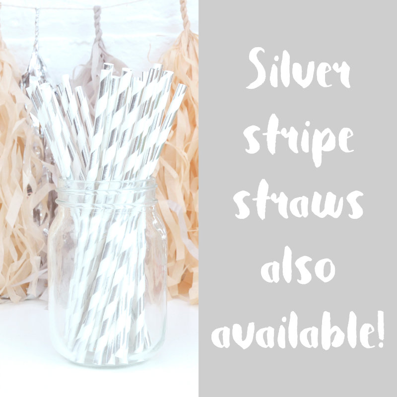 Metallic Silver Stripe Straws